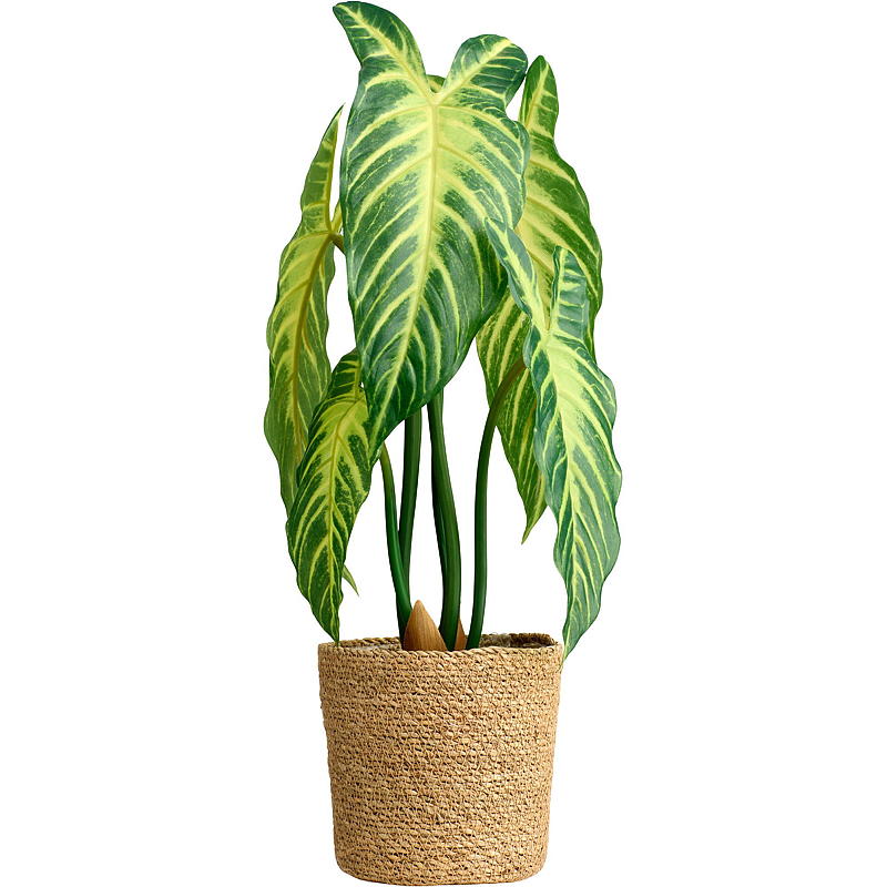 Home Xanthosoma plante 50 cm kunstig