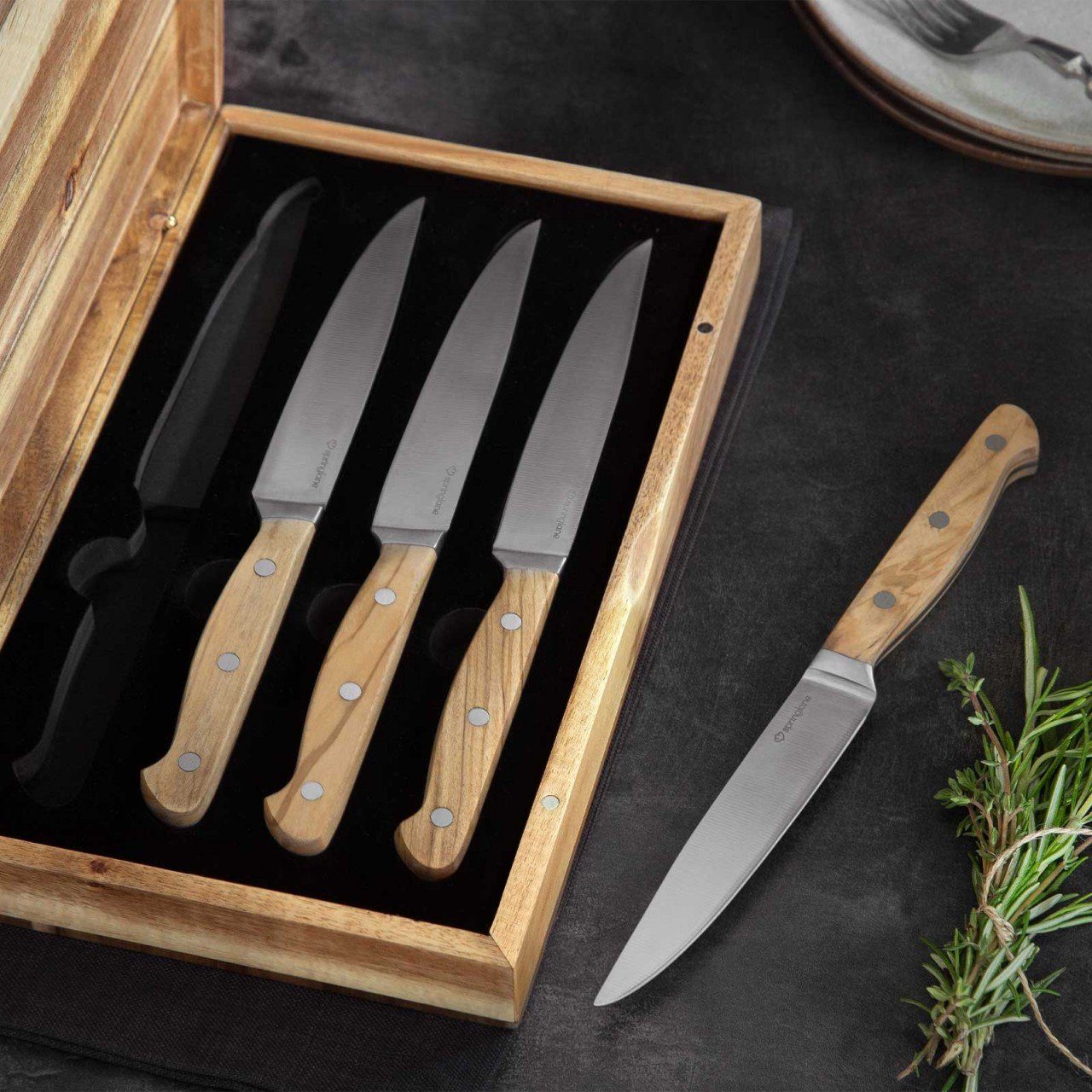 Springlane Steakmesser Steakmesserset Stan 4 teilig (4 Stück)