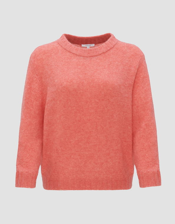 Strickpullover Putzi