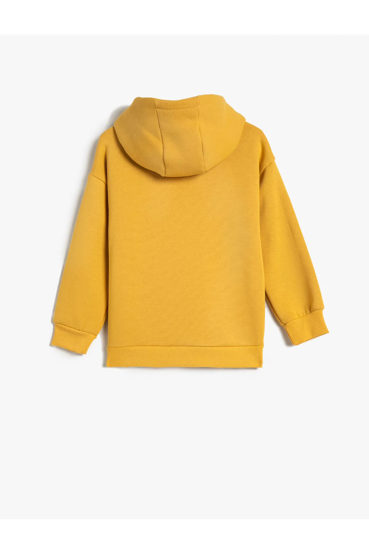 Koton  Kapuzenpullover, erhabene Stickerei, detaillierte Langarm-Baumwolle