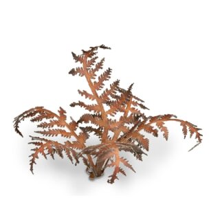 Dry Bracken