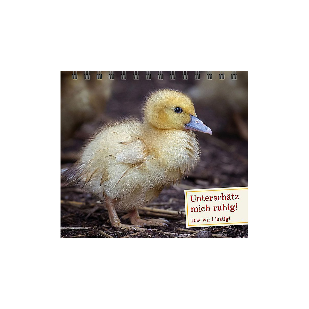 Für echte Tierfreunde