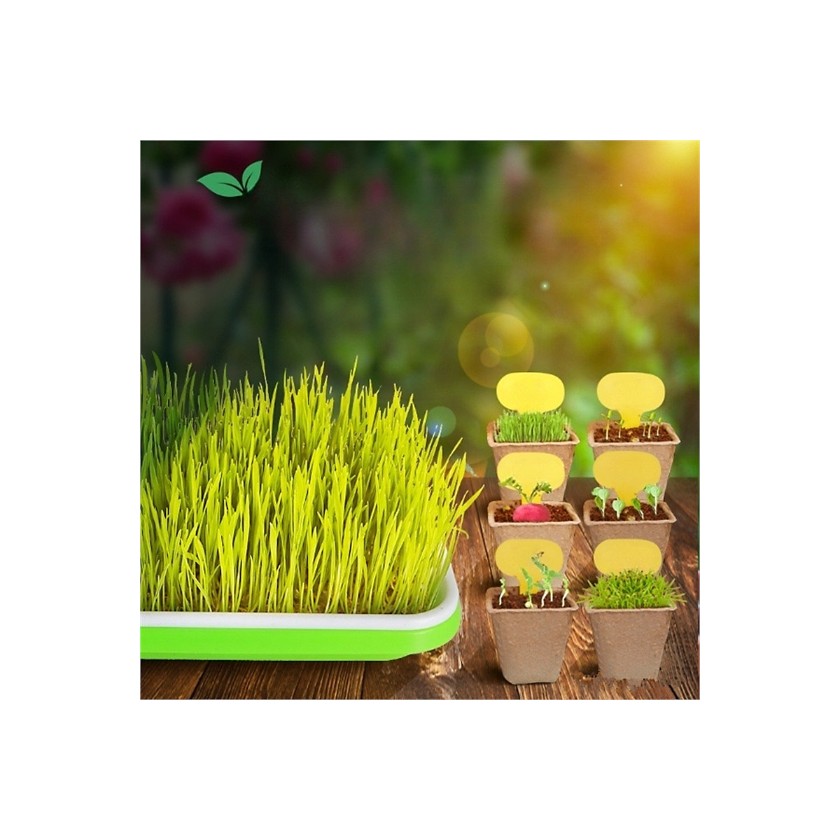 DIY Topfpflanzen Spielzeug für Kinder Experimentierset Pflanzenkunde für Kinder Experimentierkästen