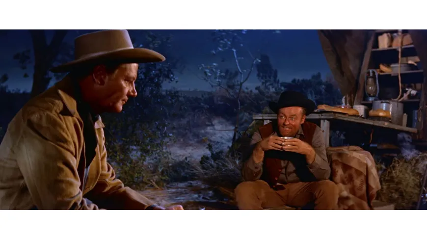 Die Rache des Texaners - Kinofassung (in HD neu abgetastet)