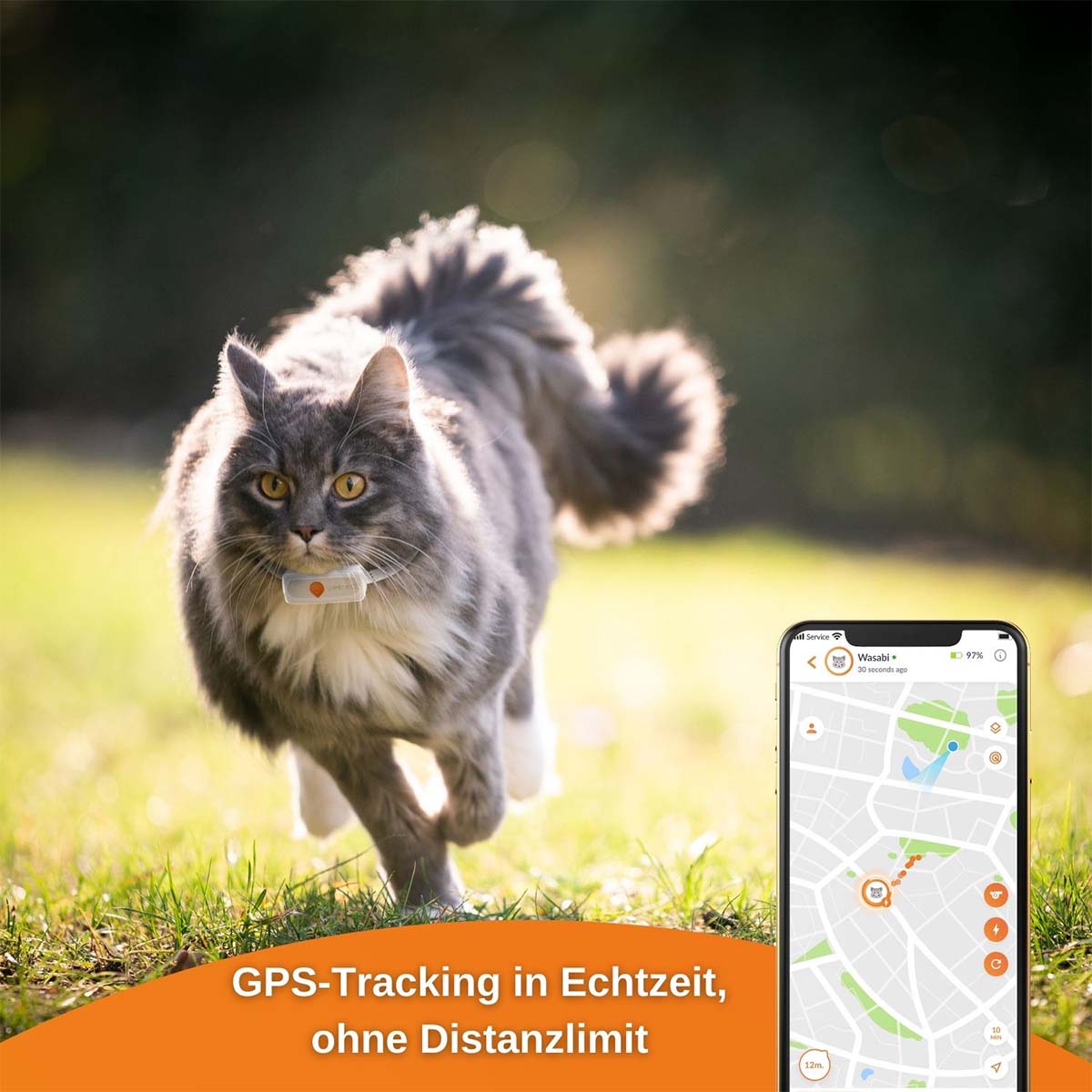 Weenect XS GPS Tracker für Katzen günstig kaufen