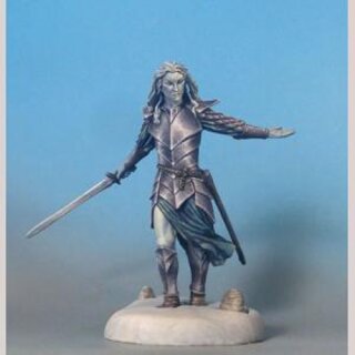 Elfenkrieger mit Langschwert