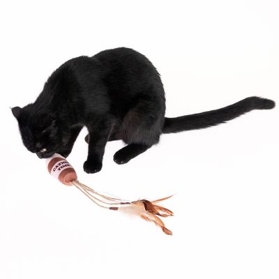 Katzenspielzeug Kaffeebecher mit Katzenminze