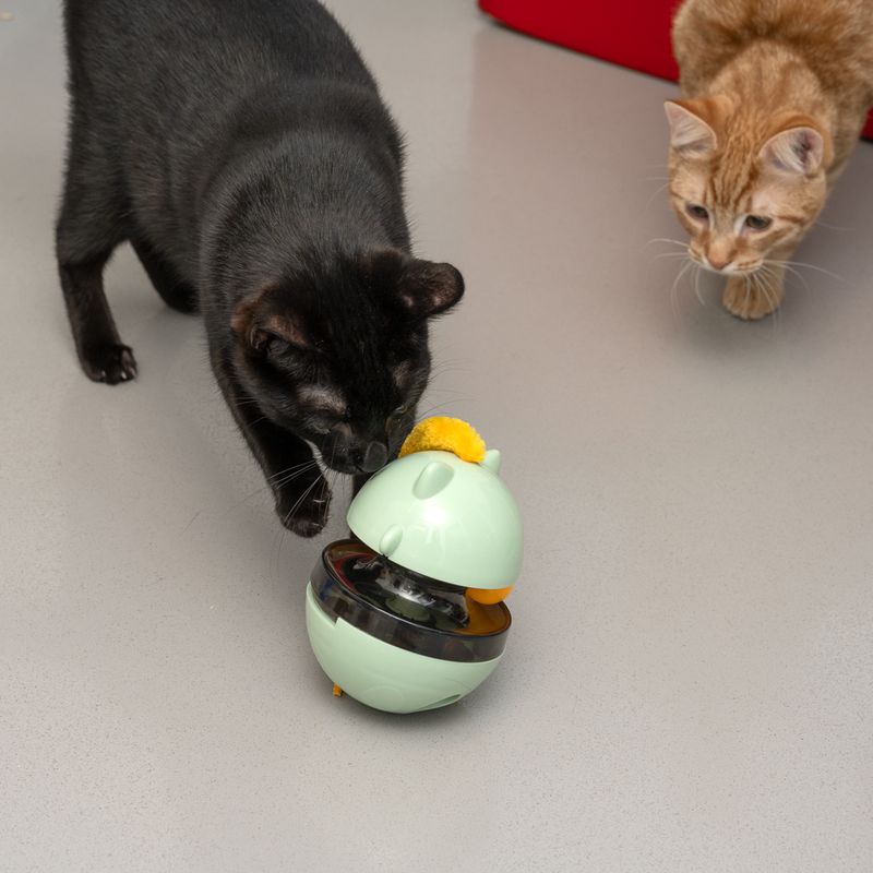 TIAKI Snack-Spielzeug Tumbler für Katzen zu TOP-Preisen | bitiba