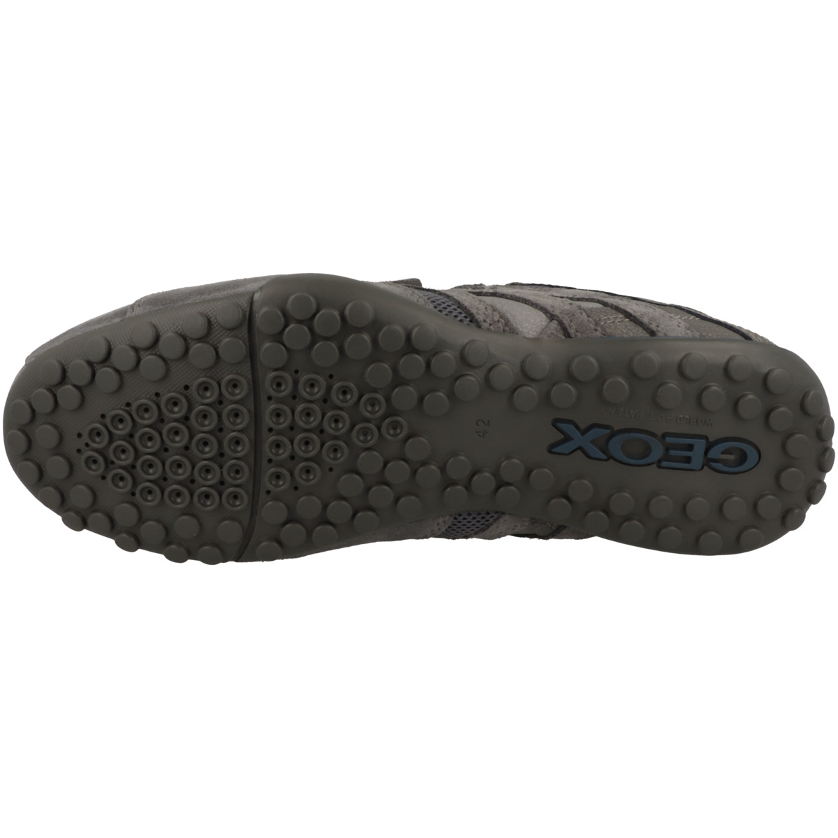 Geox U Snake B Sneaker Low dunkelgrau