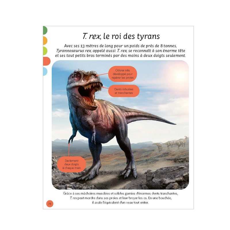 Livre L'imagerie, Les Dinosaures - Fleurus