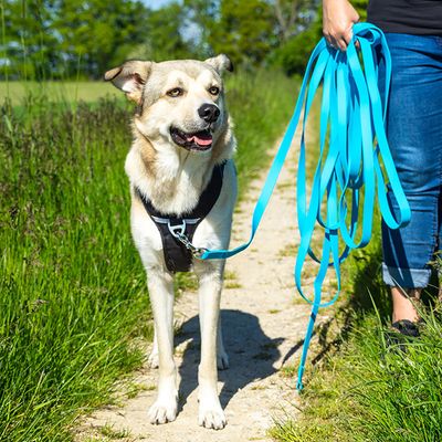 Pawz & Pepper Schleppleine Strong, blau