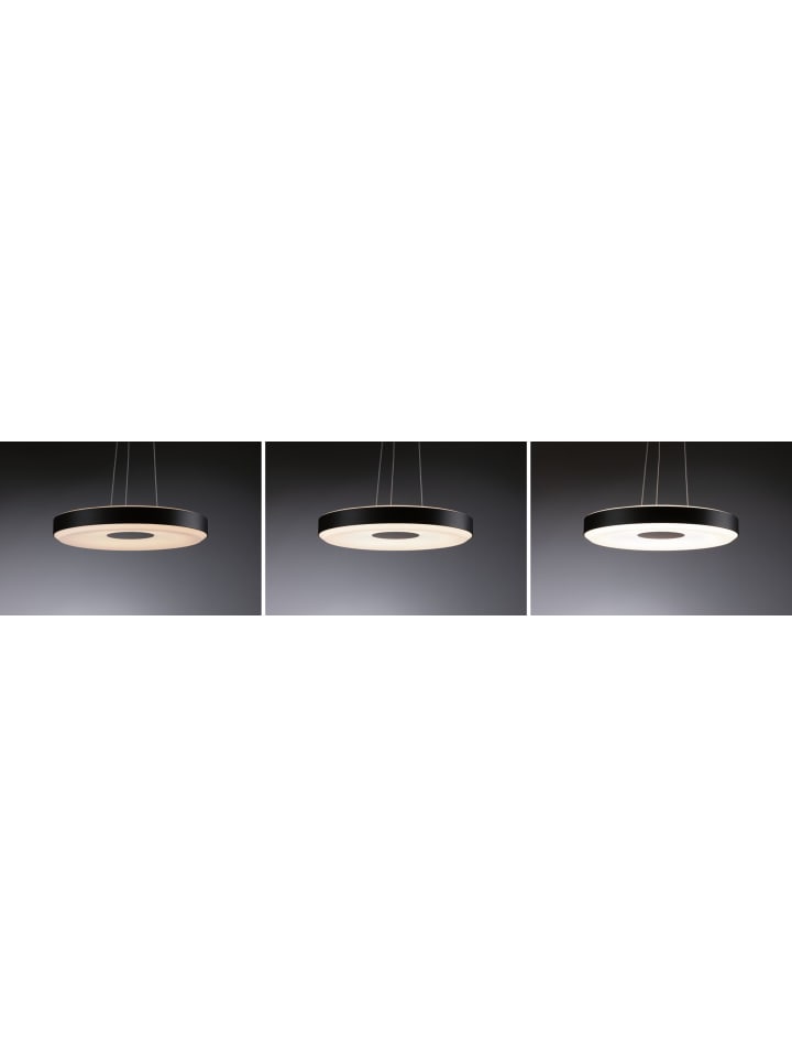 paulmann LED Pendelleuchte Puric Pane günstig kaufen onesize