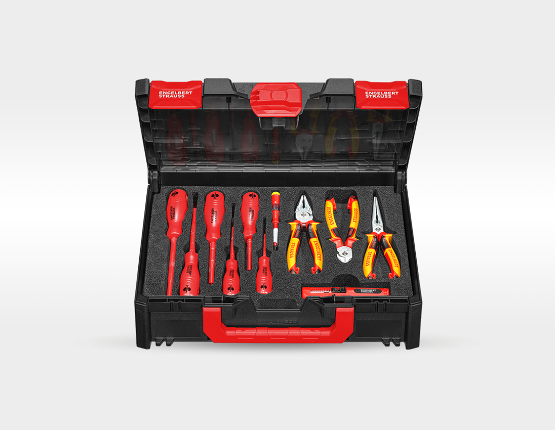 Werkzeug-Set Elekt+Multi Bohrschrauber+STRAUSSbox