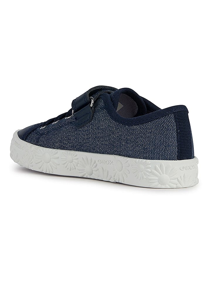 Geox Sneakers 