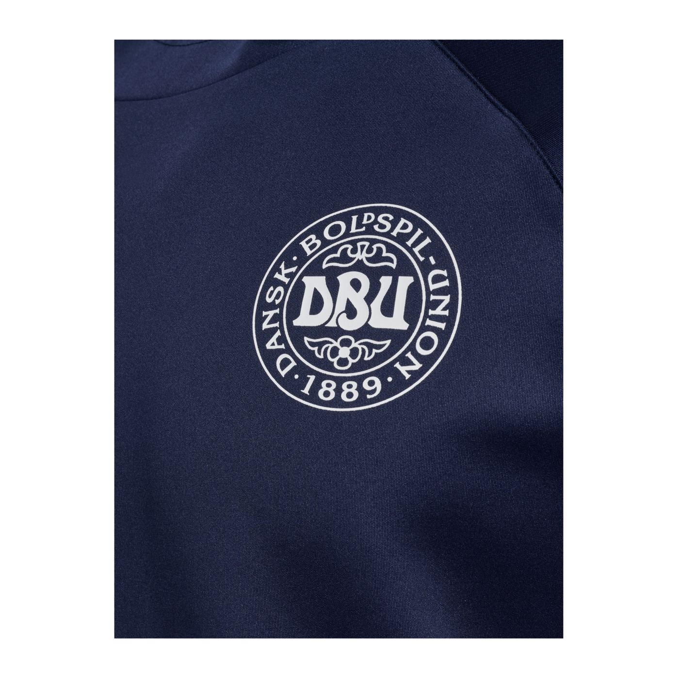 Hummel Dänemark Travel Hoody EM 2024 Blau F7026
