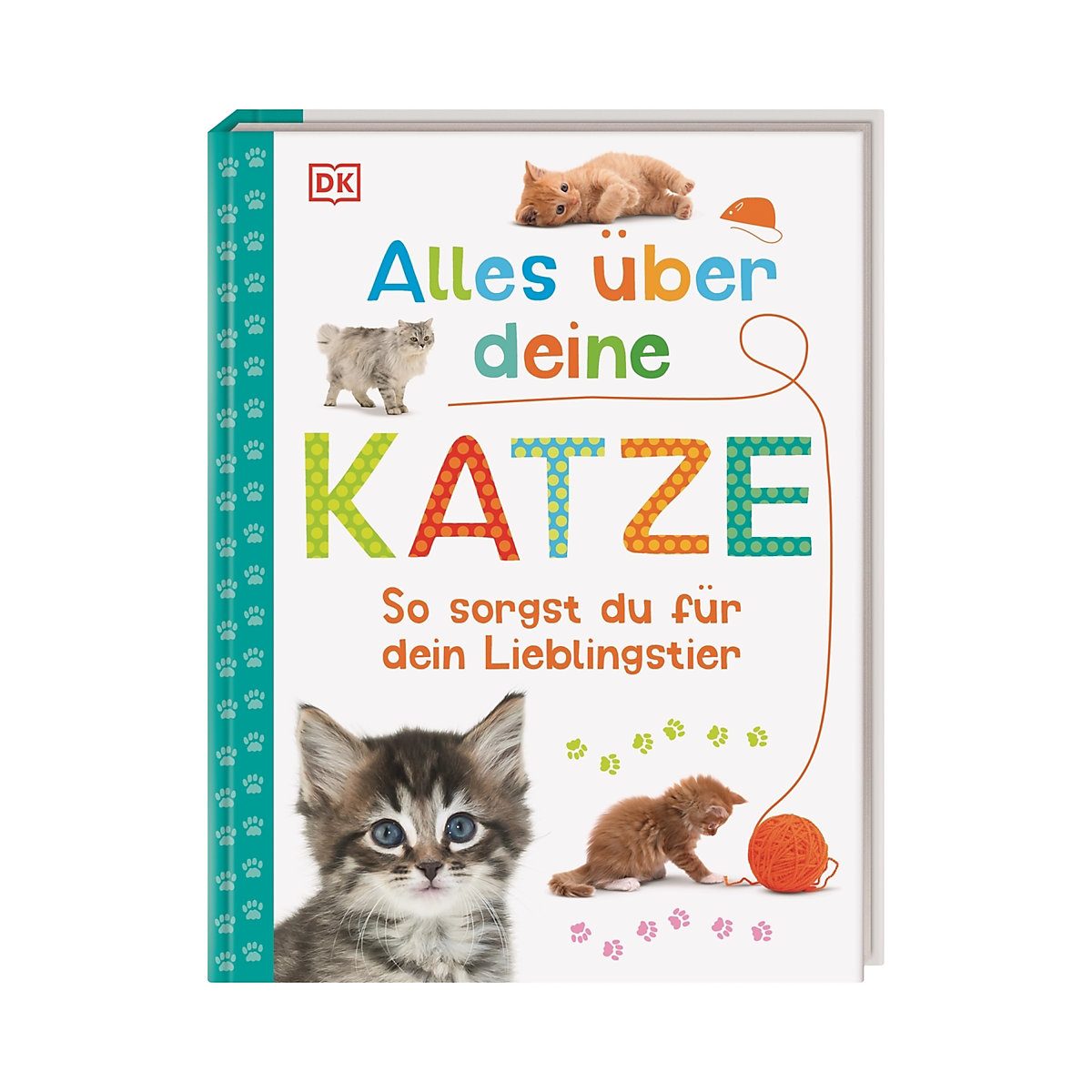Alles über deine Katze