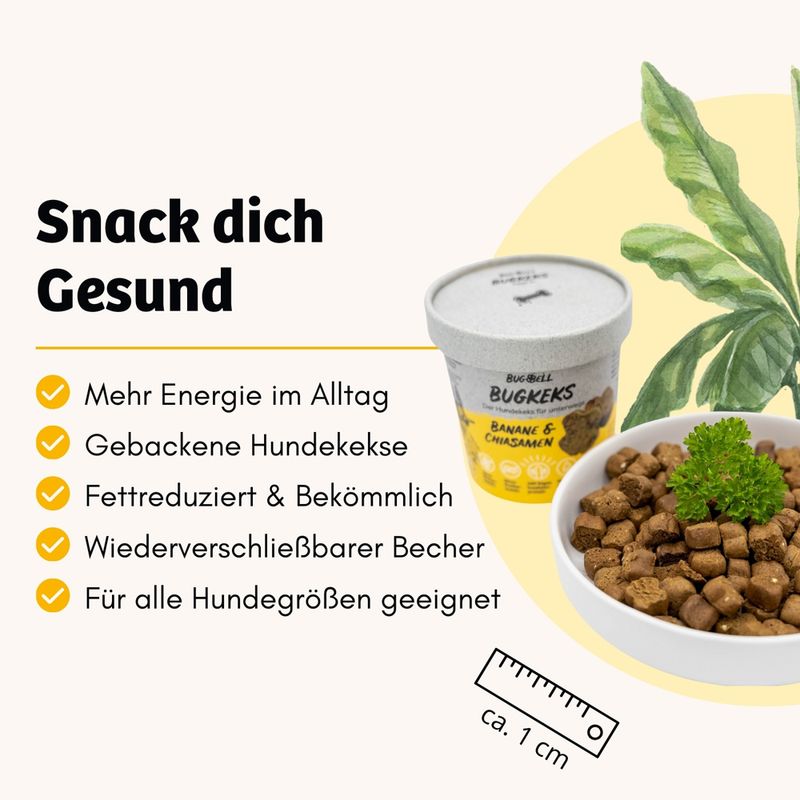 BugBell BugKeks Adult Insekten, Banane und Chiasamen