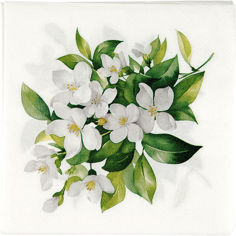 Vie Eco Servietter 20-pk 33x33 cm Sommer
