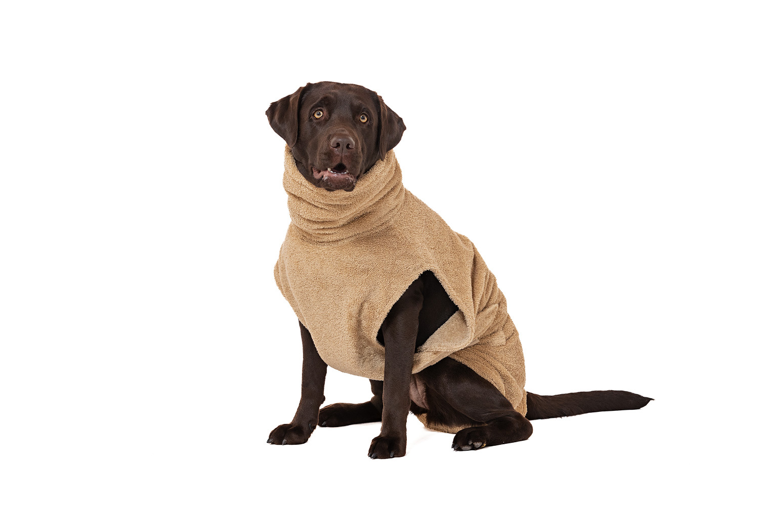 Lills Hundemäntel Lills Lill's Hundebademantel 