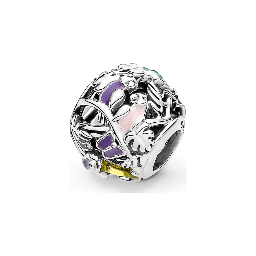 Pandora Charm Moments