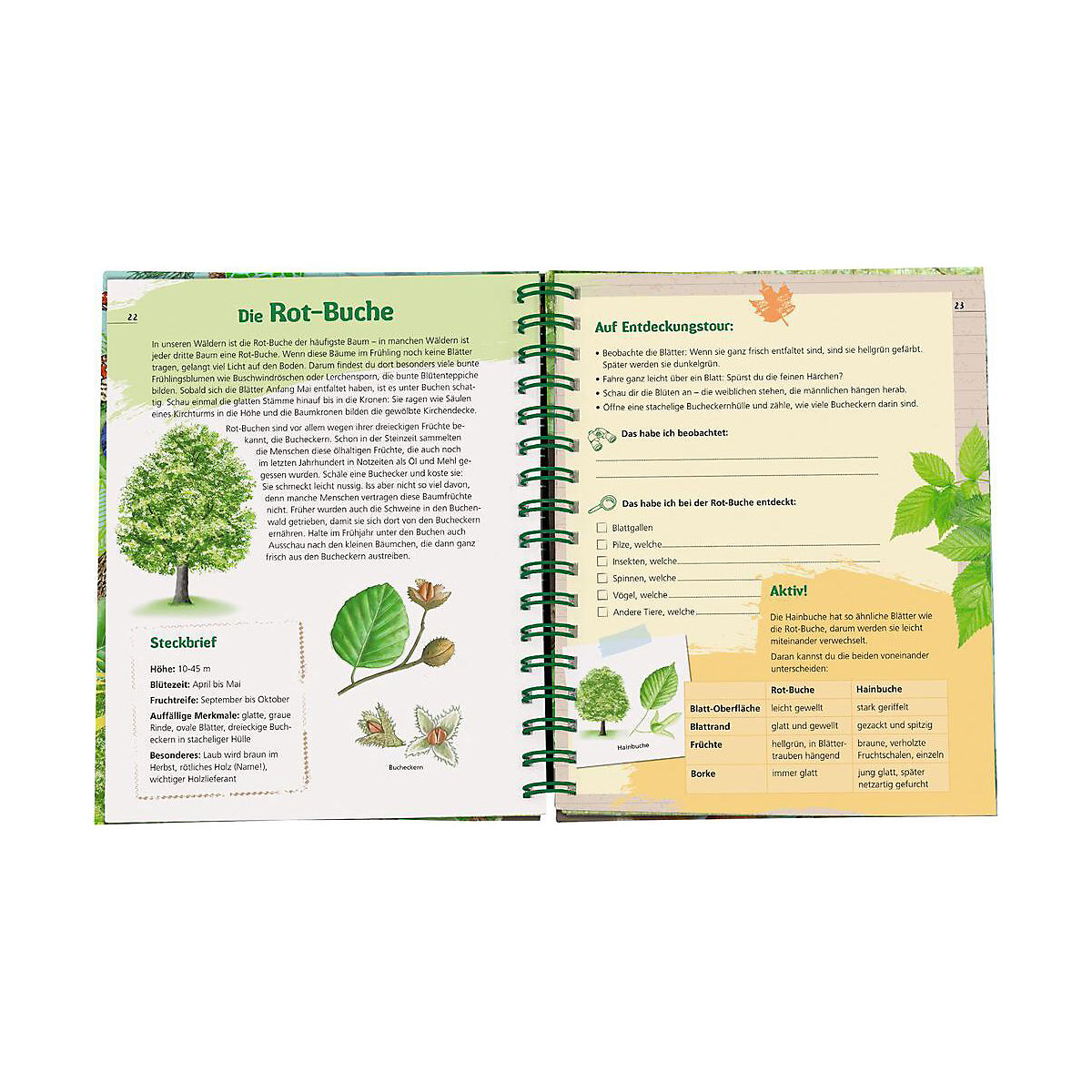 Expedition Natur: Das Wald-Forscherbuch