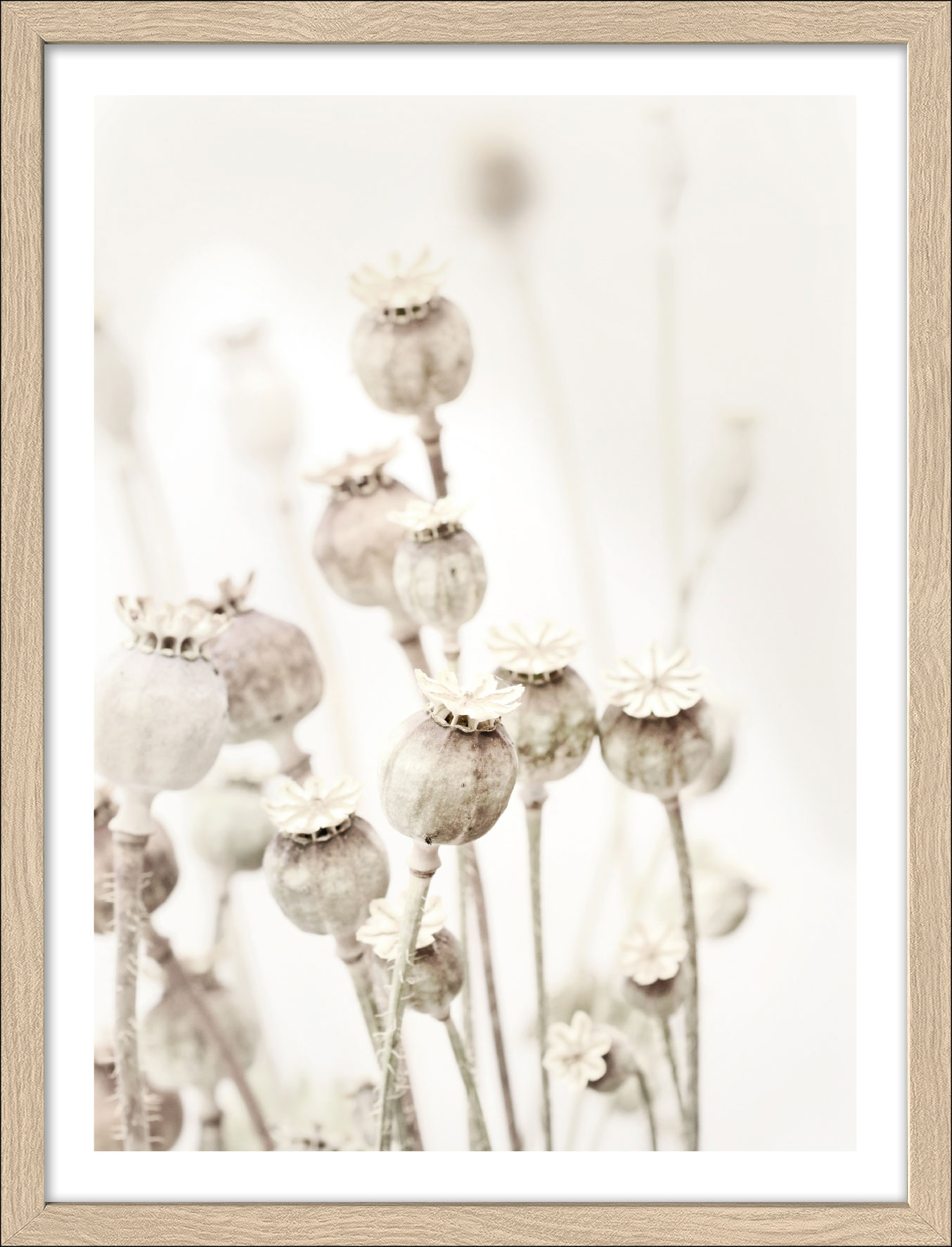 Pro ArtKunstdruck gerahmt 32,5x42,5cm