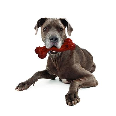 Nylabone Dura Chew Monster