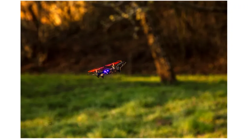 Carson - X4 Quadcopter Angry Bug 500507153