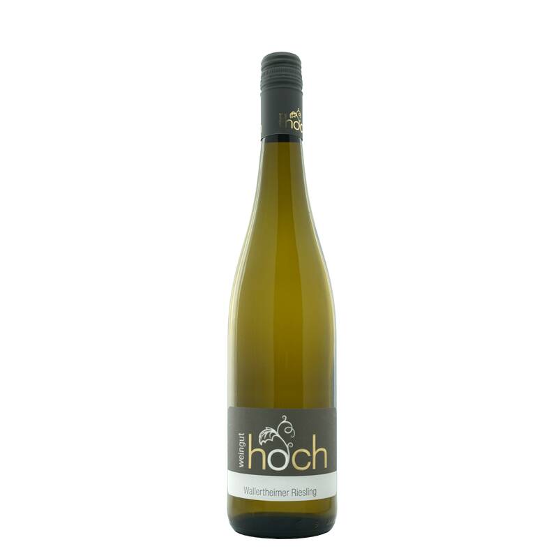 Weingut Hoch Wallertheimer Wißberg Riesling Lagenwein 2020