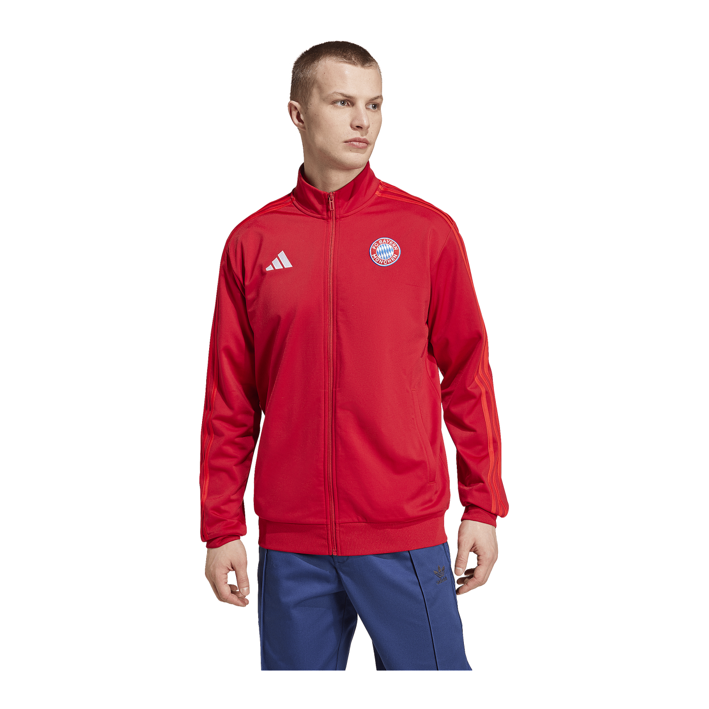 adidas FC Bayern München DNA Sweatshirt Rot