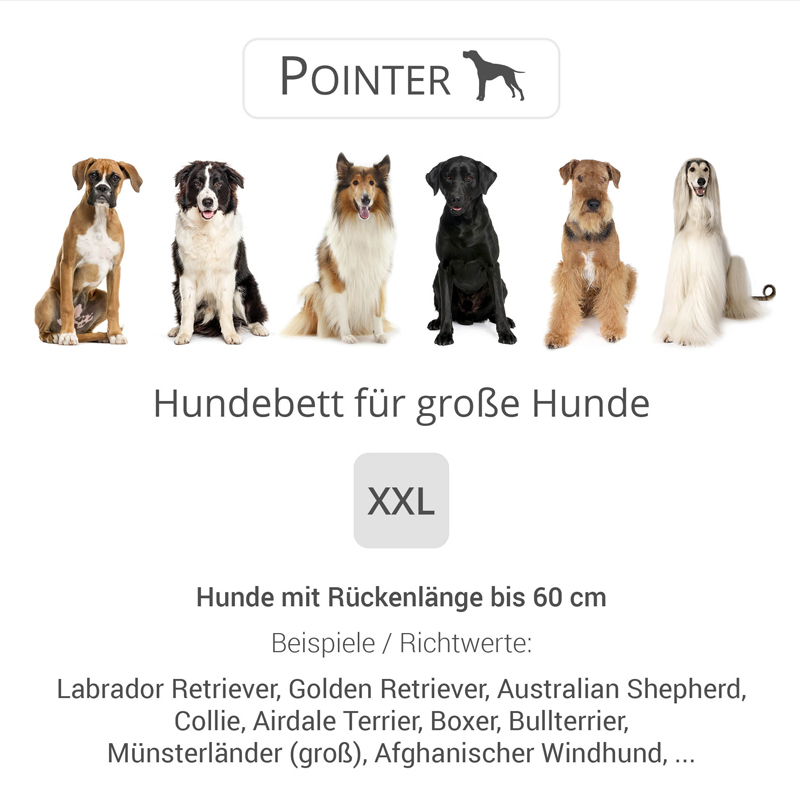 Pointer Hundebetten Pointer Liegeplatz anthrazit XXL