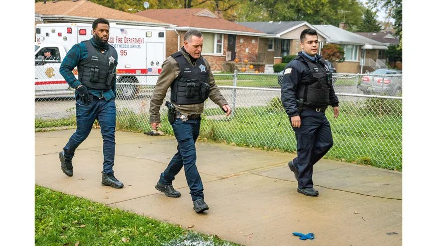 Chicago P.D. - Season 8  [4 DVDs]