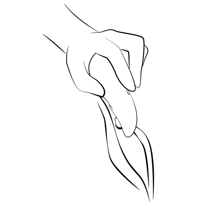 Touch X Korall