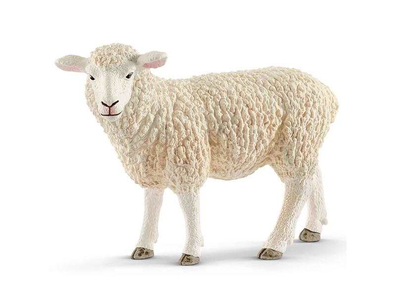 Mouton