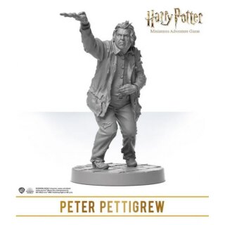 Harry Potter Miniatures Adventure Game: Wizarding Duels - Servants of the Dark Lord Expansion (EN)