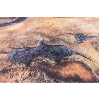 Havoc Desert 44