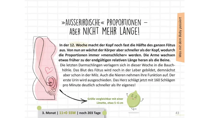 Deine Schwangerschaft, Tag für Tag