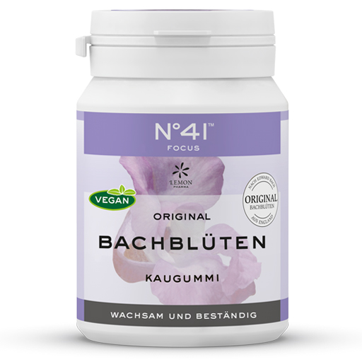 KONZENTRATION Kaugummi nach Dr.Bach  40 St  Kaugummi