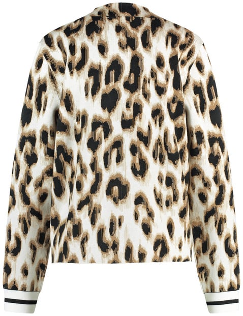 Pullover mit Leodessin