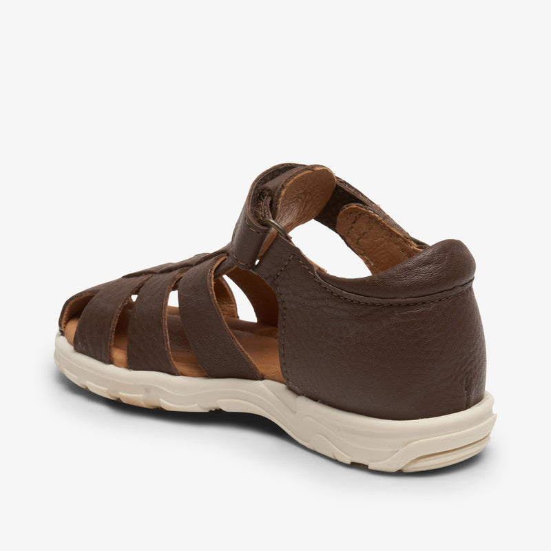 bagge c brown - Braun