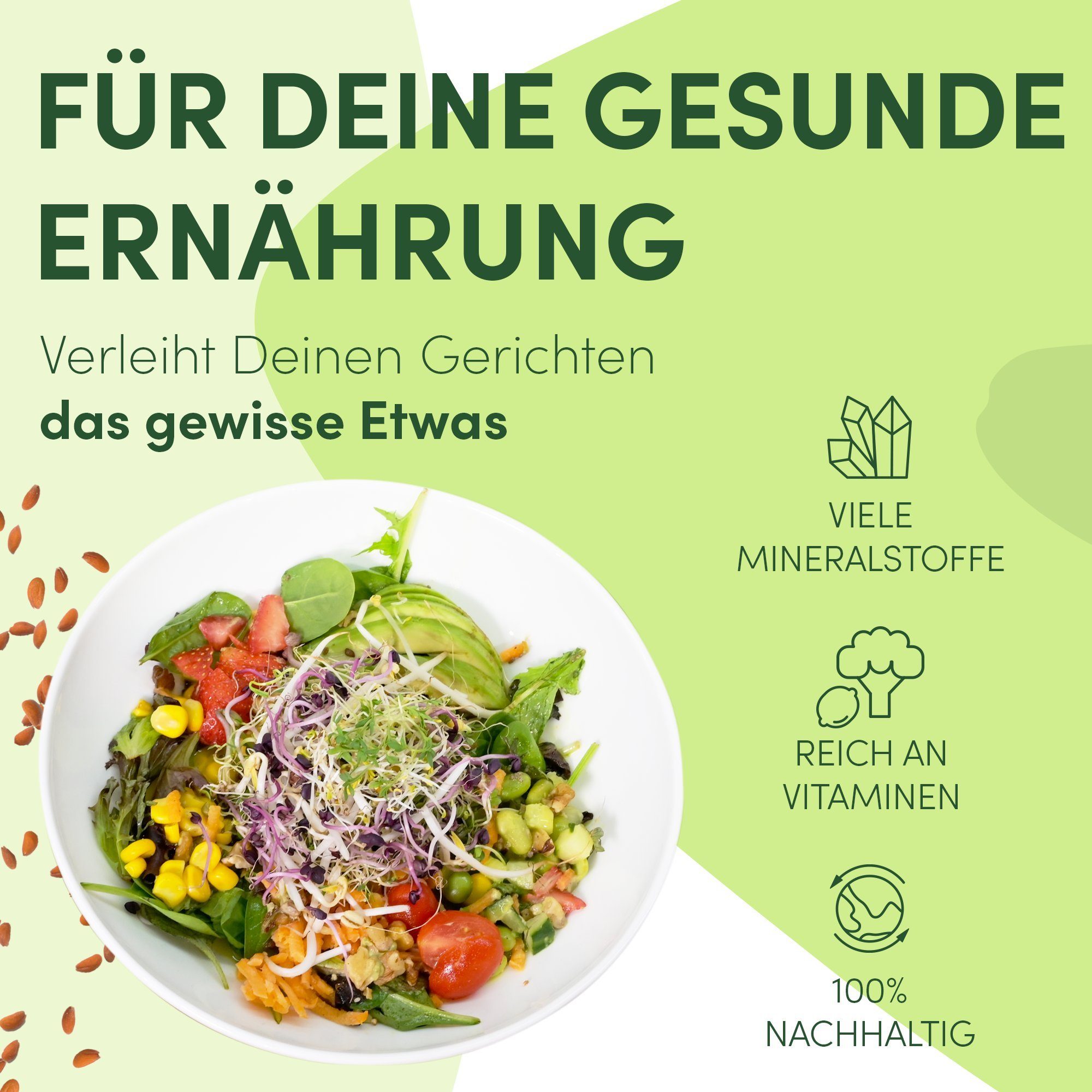 Green SEEDS Anzuchttopf Sprossenglas Keimglas 1er Set + KRESSESIEB, 1000ml mit hochwertigem Edelstahl-Gitterdeckel, Ständer, Keramikschale + Sprossen-ABC [Druckversion]