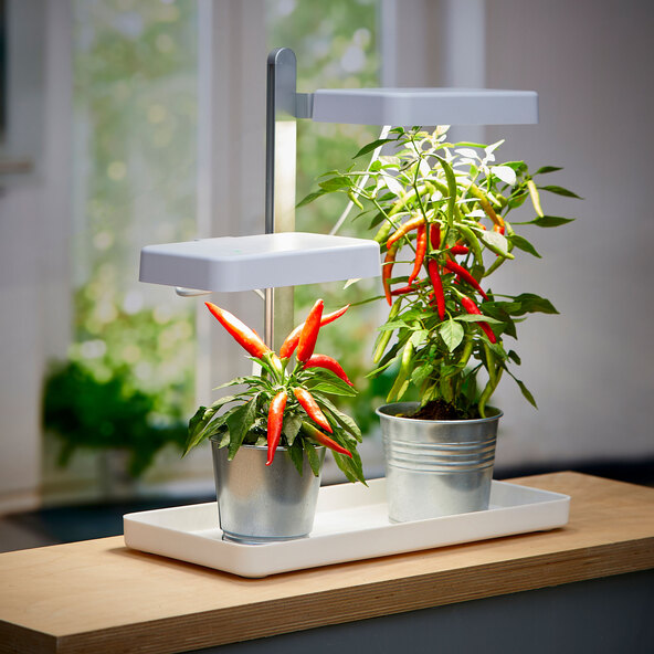 LED-Pflanzenlampe mit zwei Strahlern, 1.850 Lumen, 30 W