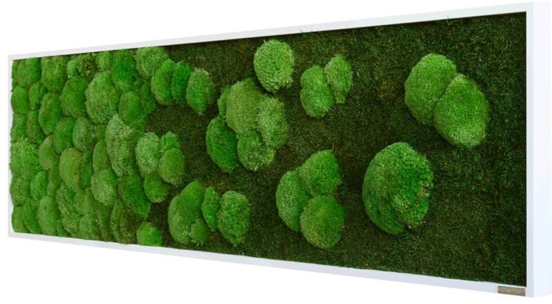 best of GREEN Moos-Wand boGsGMbWKmVL140x40HoWe Grün