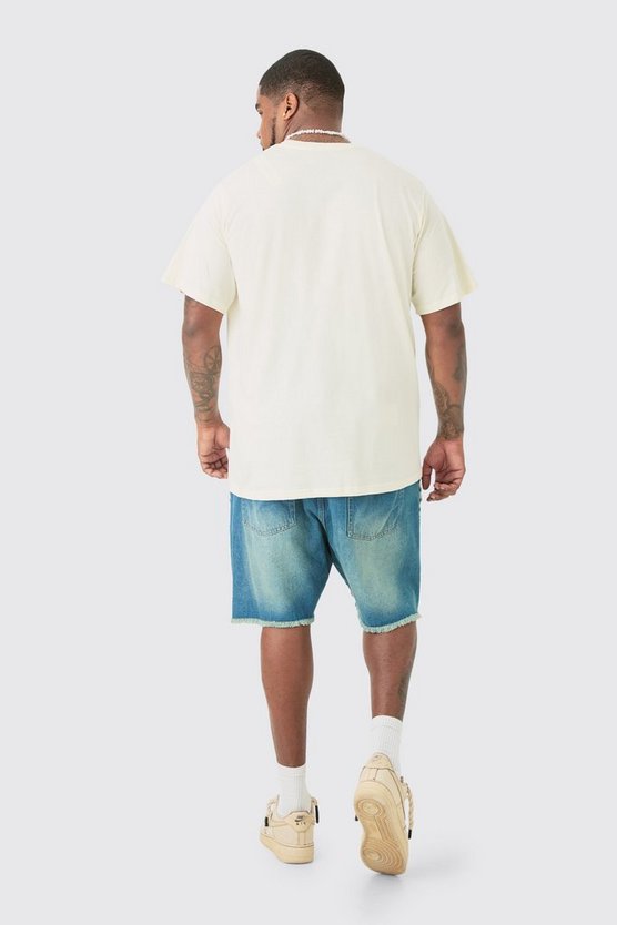 Plus T-Shirt mit Osaka-Print