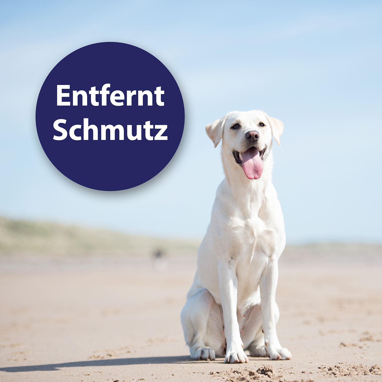 Canosept Augen- & Ohrenpflege Canosept Ohrpflege Finger-Pads für Hunde 50 Stück