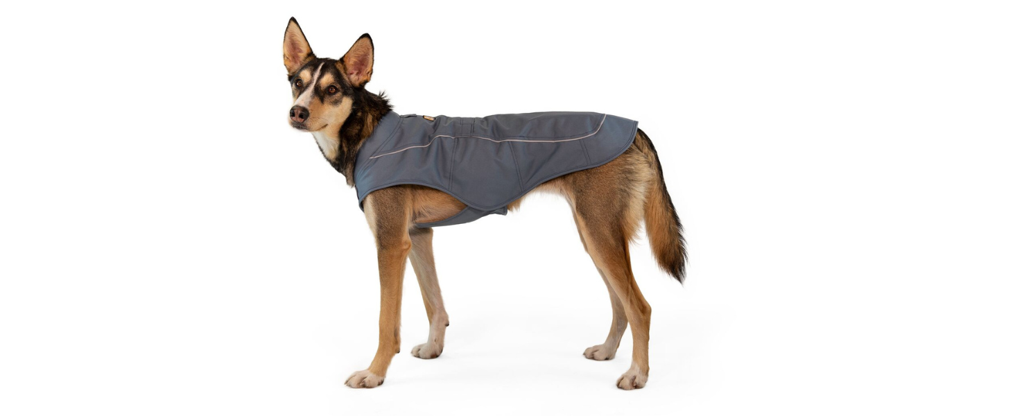 Ruffwear Hundemäntel Ruffwear Overcoat™ Hundejacke schieferblau L
