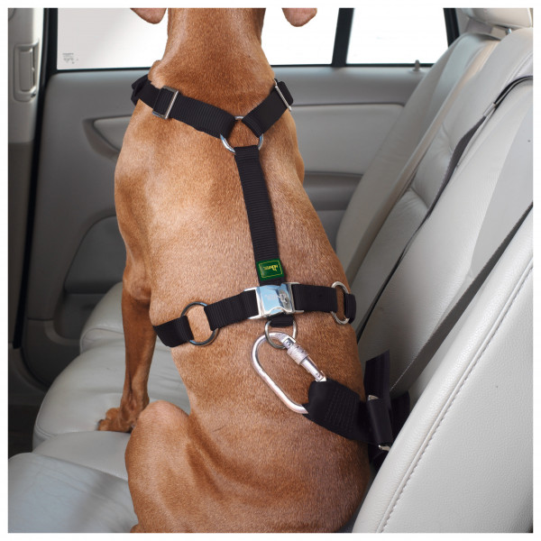 Hunter - Geschirr Autosicherheit Easy Comfort - Hundegeschirr