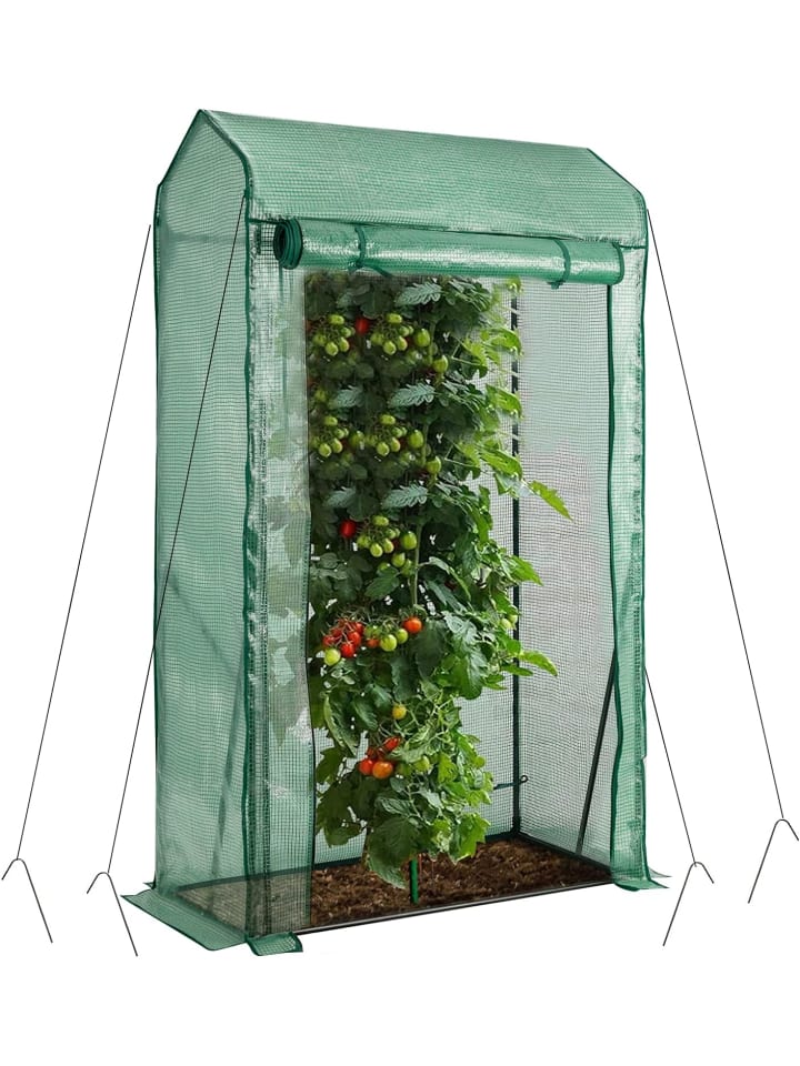 COSTWAY Gewächshaus 100x50x170cm in Grün günstig kaufen onesize