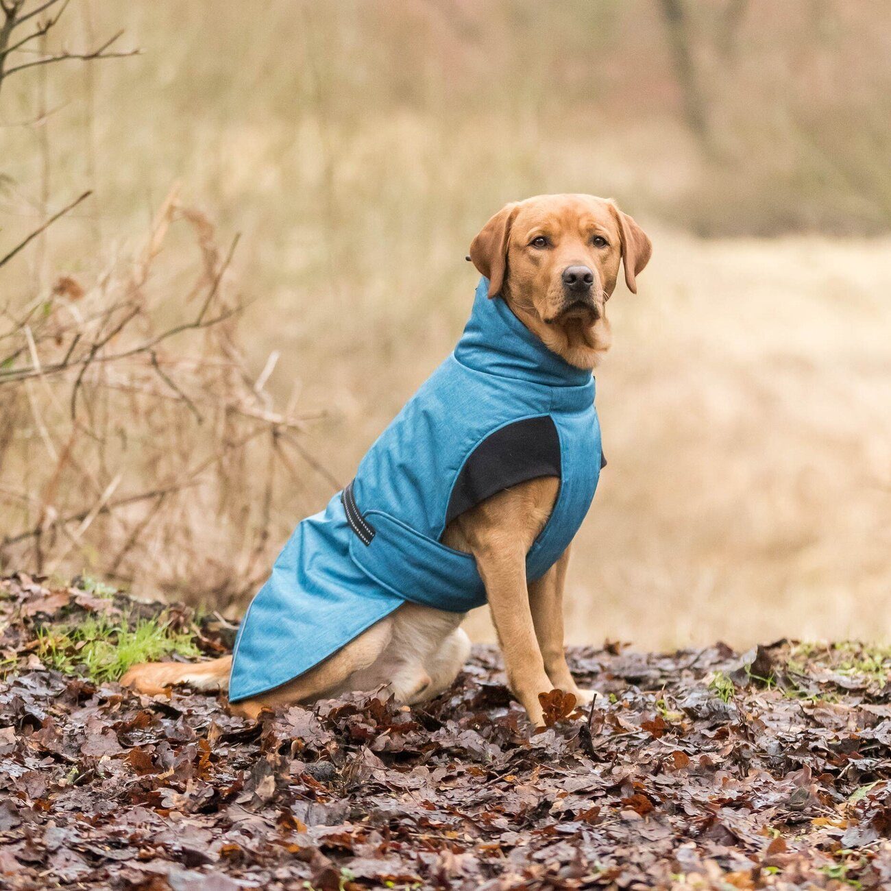 TRIXIE Hundemantel Wintermantel Riom