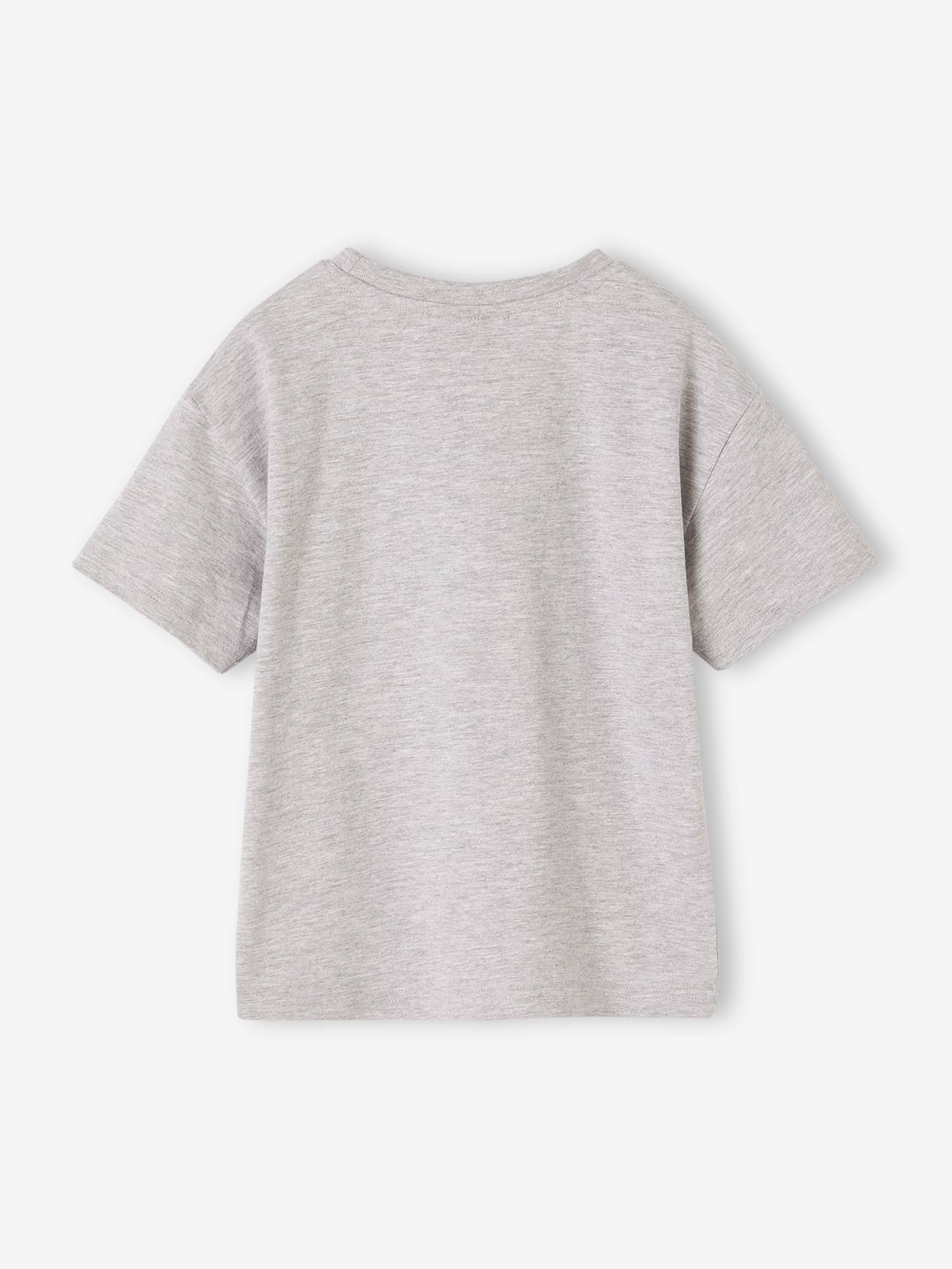 Minecraft Kinder T-Shirt MINECRAFT Legends - grau meliert